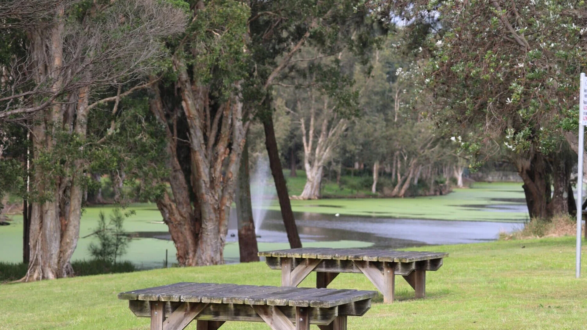 Sir Joseph Banks Park waterfront reserve